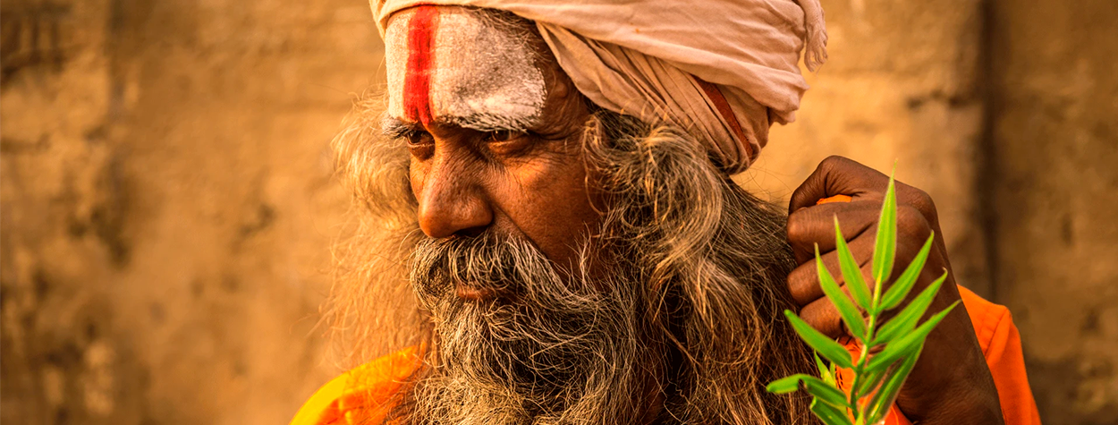 Anciano indio con barba larga y turbante naranja con una marca ritual en la frente sosteniendo una planta verde frente a un muro ocre