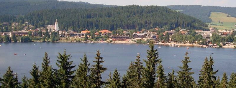 Singles a Alemania y Selva Negra