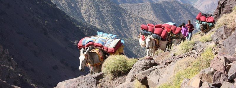 Viaje a Toukbal Marruecos