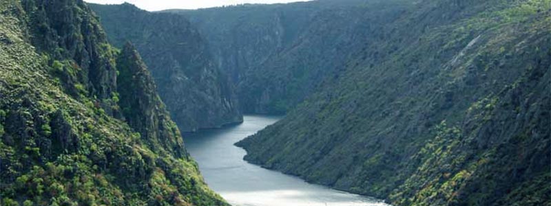Singles con niños en Arribes del Duero