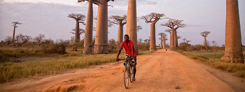 Viaje fotográfico a Madagascar