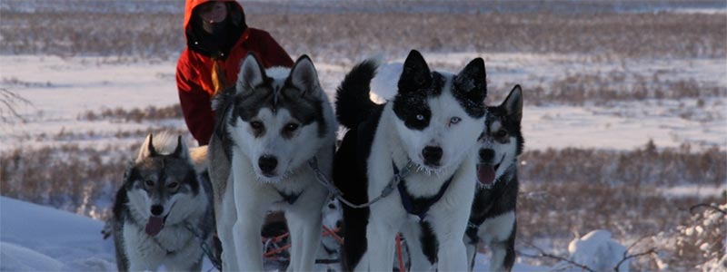 Aventura invernal en Finlandia