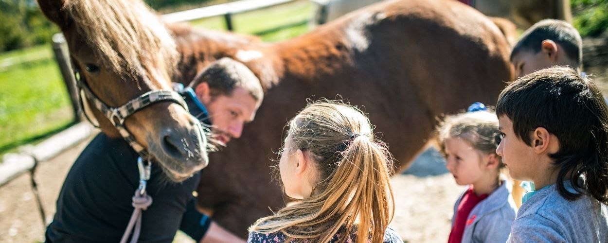 Emociones & Caballos 1250X500