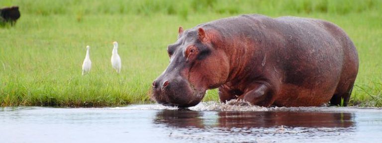 Botswana