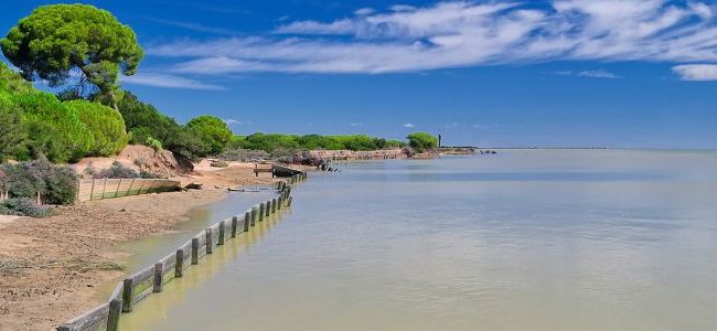 Catálogo de viajes Aventura Andaluza 650x300 Catálogo de viajes