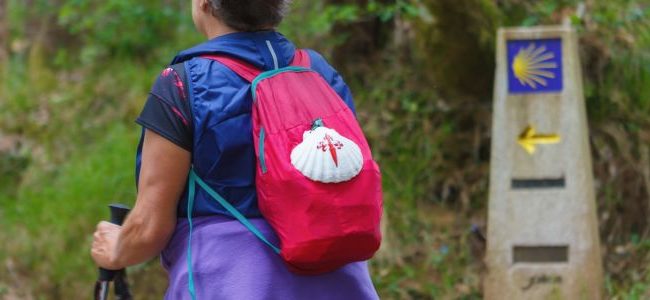 Catálogo de viajes Camino Santiago 650x300 Catálogo de viajes