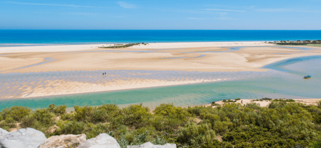 Catálogo de viajes Ria Formosa 650x300 Catálogo de viajes
