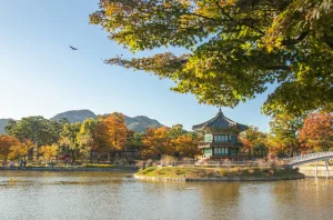 Viajes Singles en Octubre 2026 %name Viajes Singles en Octubre 2026