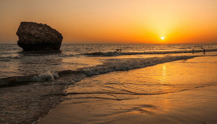 Matalascanas Multiaventura acuática monoparental en doñana