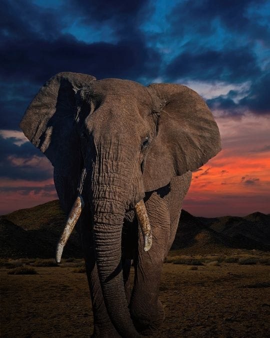 Africa Viajes Singles por Destinos