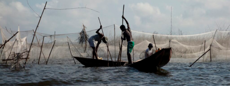 Angola 450x168 Safaris Singles