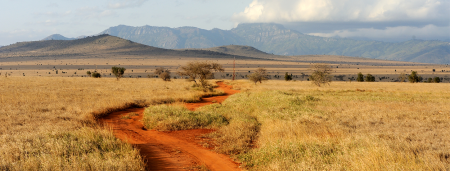 Kenya parque nacional 450x171 Safaris Singles