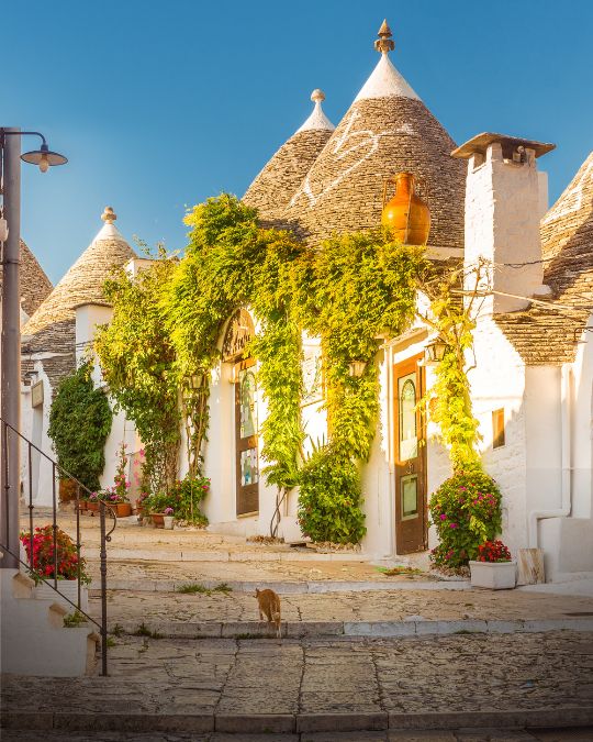 La Puglia Viajeros Singles: Viajar solo en grupo single