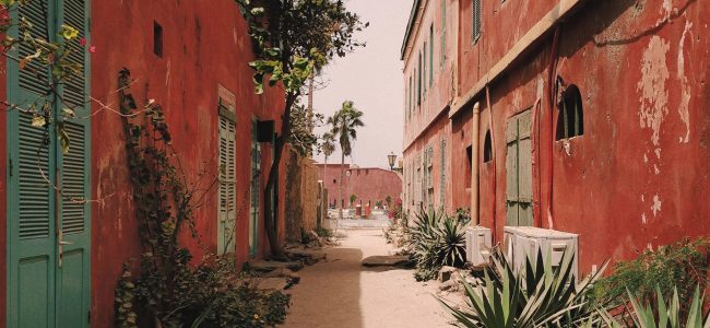 Catálogo de viajes Senegal 650x300 Catálogo de viajes