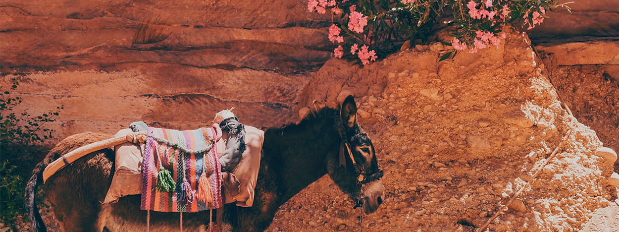 El Tesoro de Petra, símbolo de un viaje a Jordania